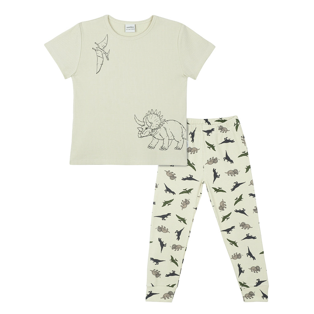 Hello Dino Pyjama Set - WikoBaby